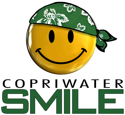 copriwater-economici-smile